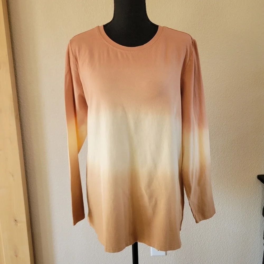 NWT CALVIN KLEIN Cream Ombre Longsleeve Crewneck Cotton/Spandex Top Size 0X